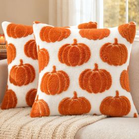 Pumpkin Pillow Covers Fall Decor 18x18 Set Of 2 Orange